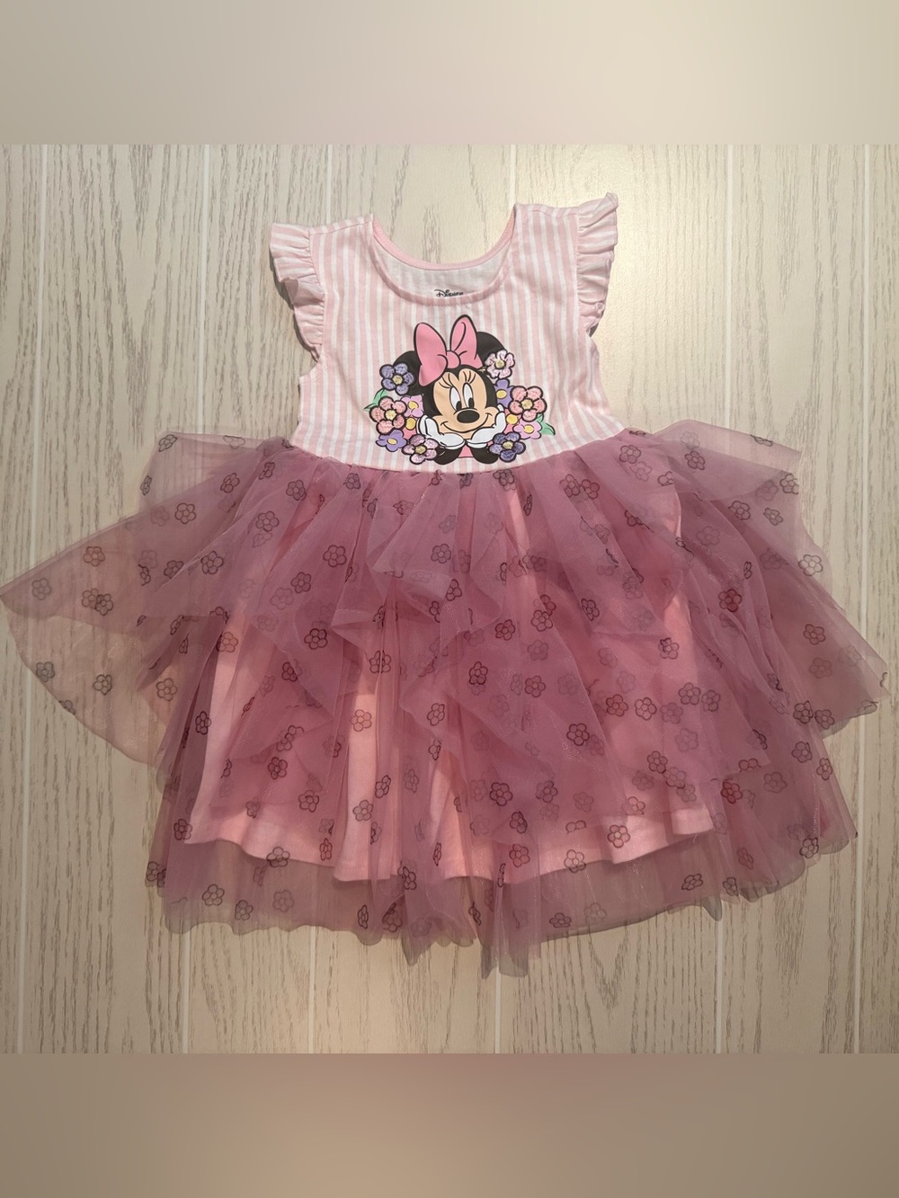 Disney Minnie Mouse Girls 2T Pink Embroidered Tulle Tutu‎ Dress NWOT